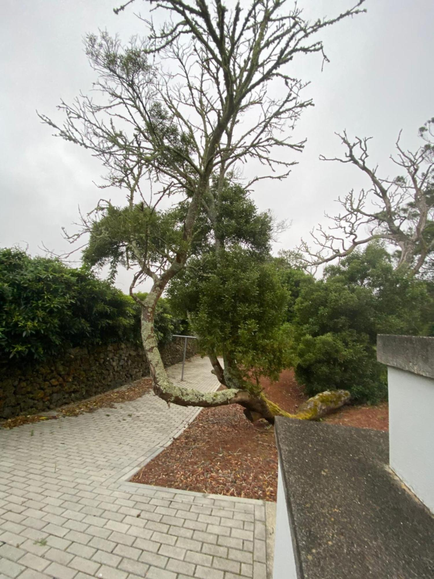 Casa Azul Terceira Island Azores Fonte do Bustardo 外观 照片